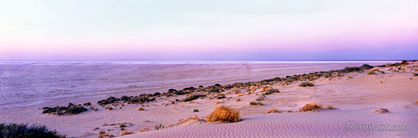 The vast stretch of horizon and yellow sky