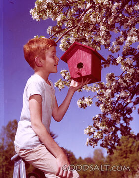 The Wonder of Growing Things