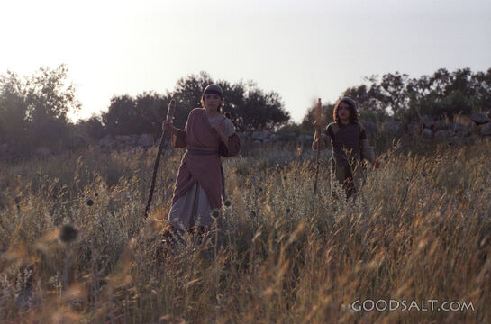 Traveling in Wilderness