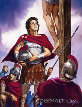 Truly This Was the Son of God