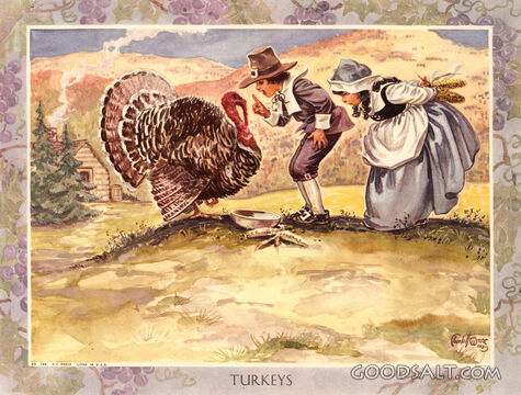 Turkeys