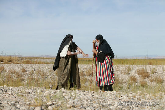 Two Isrealites in Desert