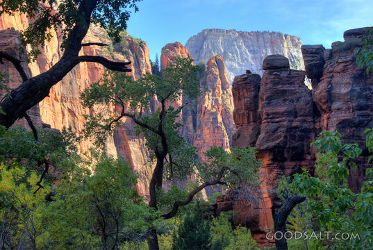 View From End of Zion Canyon Road