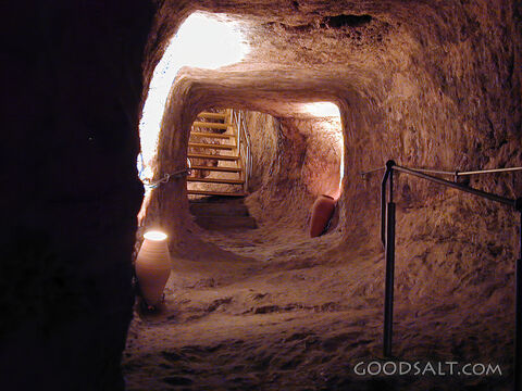 Warren's Shaft Tunnel.jpg