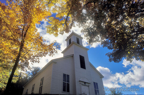 White Church With Trees