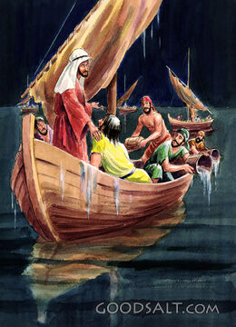 Why Are You So Afraid?