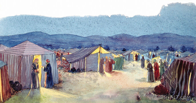 Wilderness Camp at Night