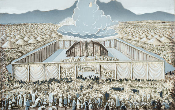 Wilderness Sanctuary