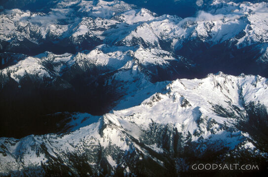 An aerial view of trees and snow-covered mountains.