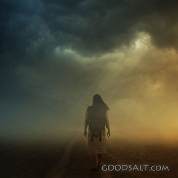 Woman Walks Into Darkness