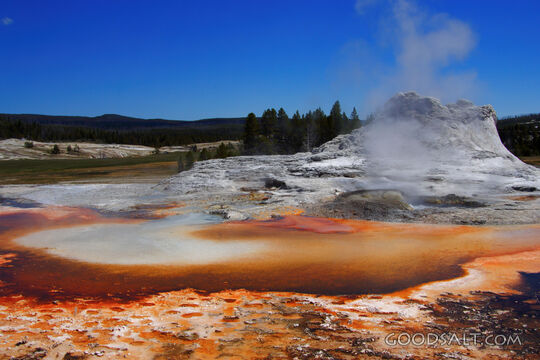 WYOMING. Yellowstone National Park. Castle Geyser in the Upp