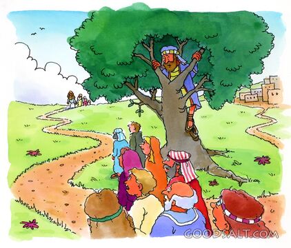 Zacchaeus Climbs a Tree