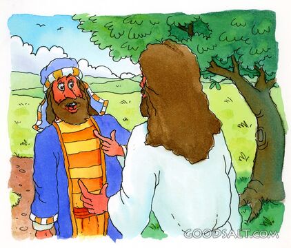 Zacchaeus Is Amazed