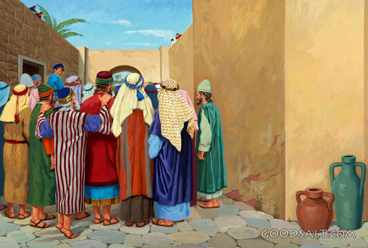 Zacchaeus Tries to See Jesus