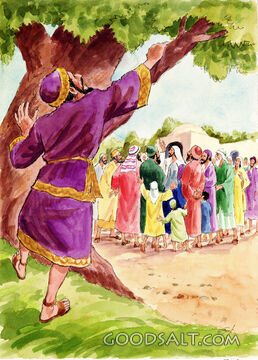 Zaccheus