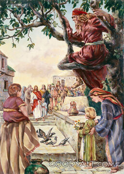 Zaccheus