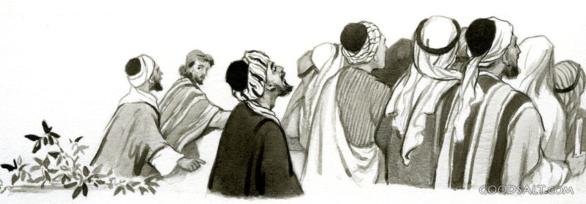 Zaccheus Stretched as Tall as He Could