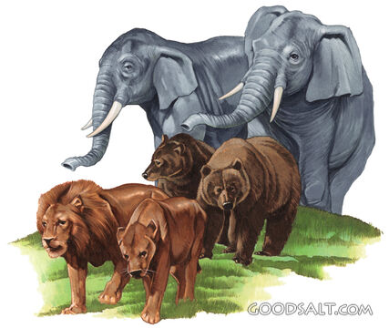 Animals in pairs of two walking to Noah\&#039;s ark.
