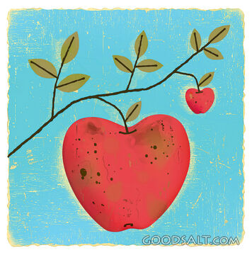 2 Red Apples Growing on Tree Branch