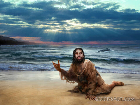 Jonah Leaves the Big Fish
