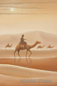 513 Camel Train 2