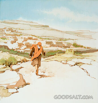 A Brisk Walk