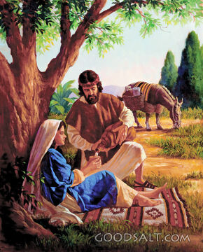 A Trip for Mary and Joseph
