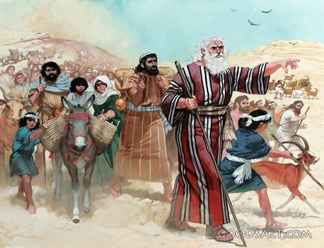 A Trip for Moses