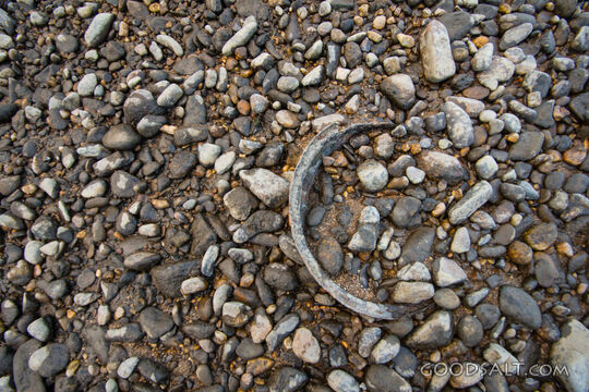 Abandoned gold pan in river bed.