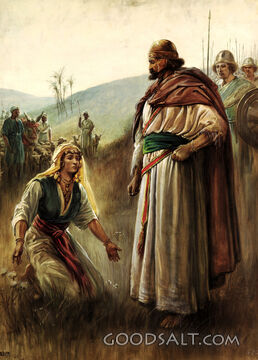 Abigail the Peacemaker