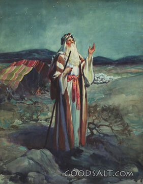 Abraham under the Stars
