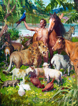 Adam Naming the Animals