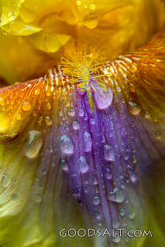 After the Rain