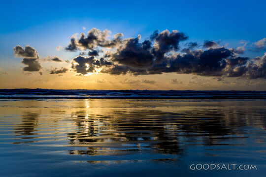 Afternoon Walk on the Beach