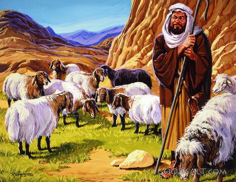 Amos the Keeper of Sheep