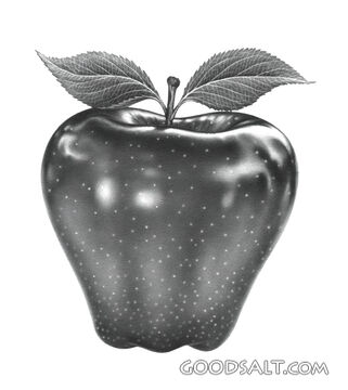 An Apple