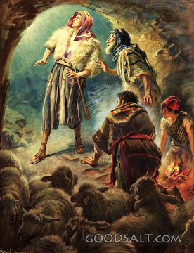 Announcement to the Shepherds