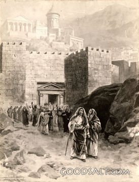 Apostle to the Gentiles