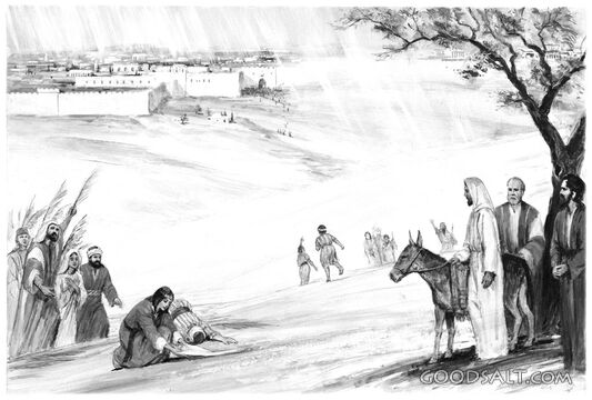 Approaching Jerusalem