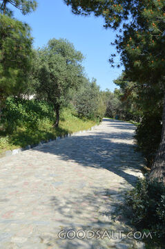 Athens Road