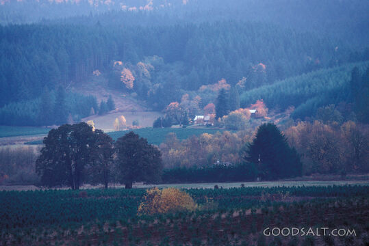 Autumn Countryside