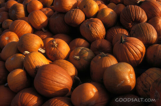 Pumpkin Harvest Abundance