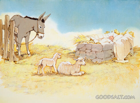Baby Jesus in Manger