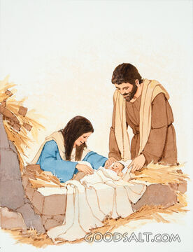 Baby Jesus in the Manger