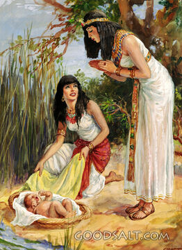 Baby Moses in the Bulrushes