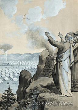 Balaam Blesses Israel