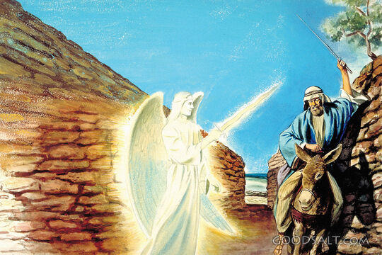 Balaam&#039;s DOnkey