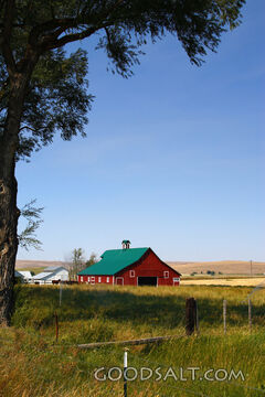 Barn