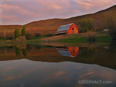 Barn Reflection