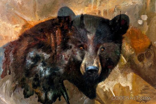 Bear